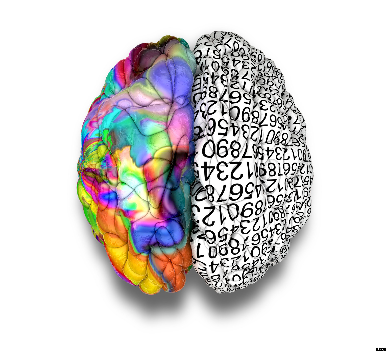 A typical brain with the left side depicting an analytical, structured and logical mind, and the right side depicting a scattere